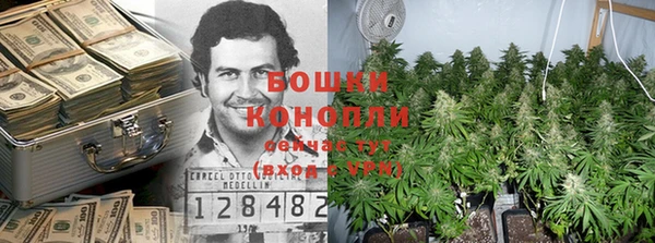 винт Липки