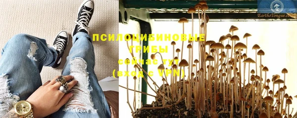 винт Липки