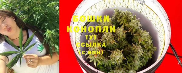 винт Липки