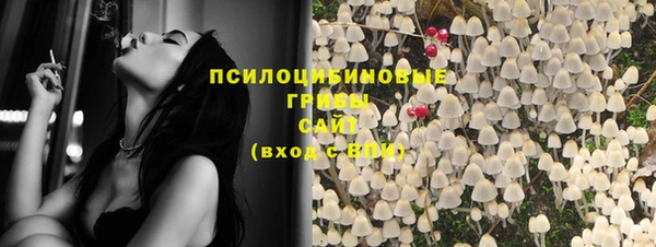 винт Липки