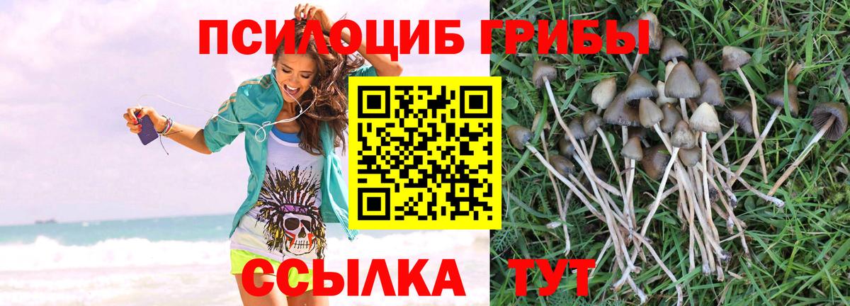 Галлюциногенные грибы мицелий Соликамск