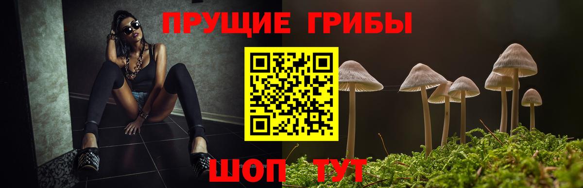 хочу   Псилоцибиновые грибы Cubensis  Вход с VPN  Соликамск 