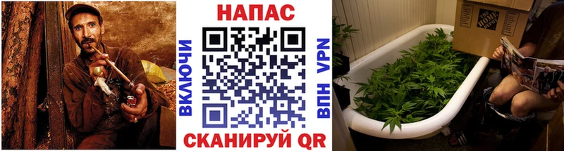 Шишки марихуана Bruce Banner  Соликамск 
